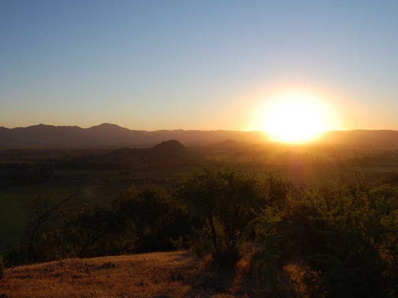 Las Arañas