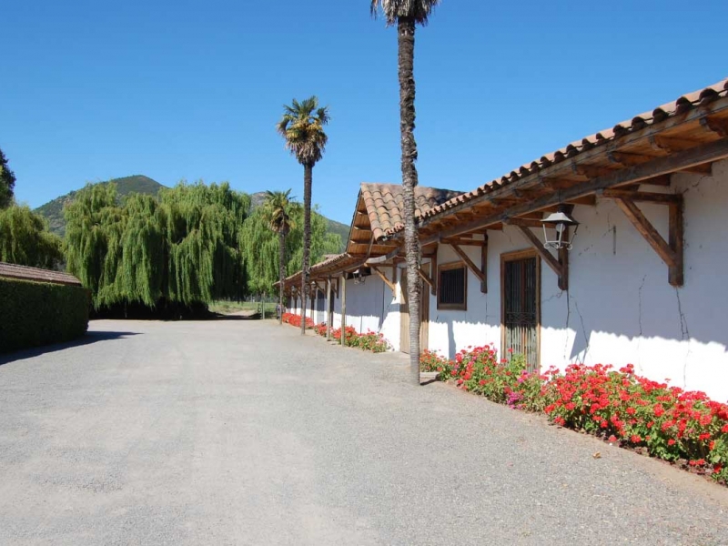 Los Olivos